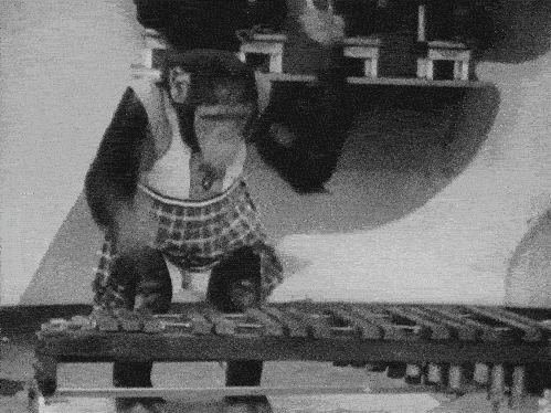 Affe spielt bei Assessment Center auf Xylophon