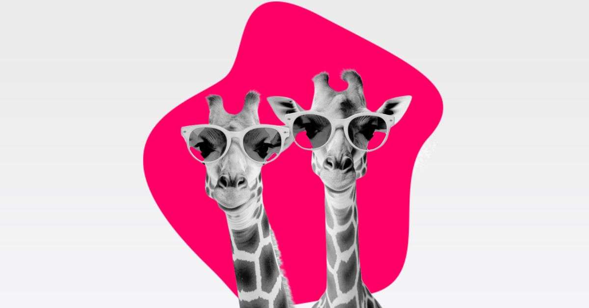 Giraffen mit Sonnenbrillen als Symbol für Teamevents