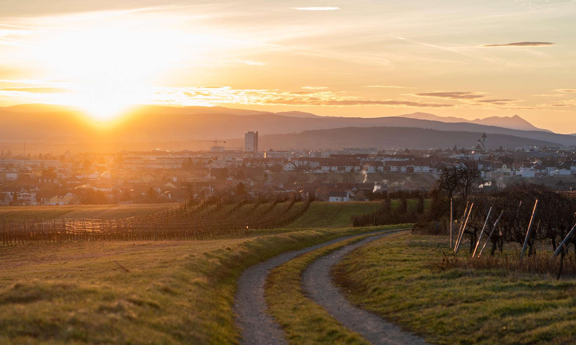 Teambuilding Burgenland: Team beim Firmenevent in Eisenstadt mit Blick auf das Schloss