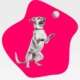Hund, der mit einem Ball spielt als Symbol für Gamification