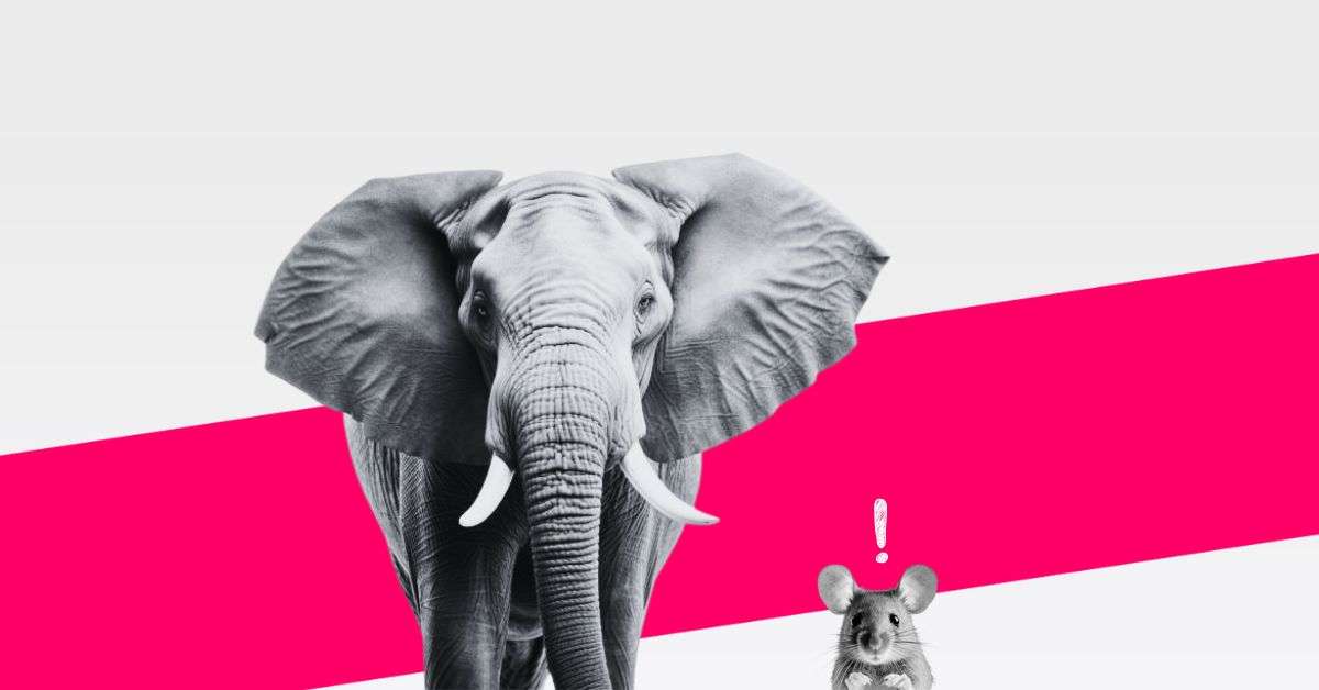 Elefant & Maus als Symbol für kleine Gruppenspiele